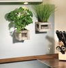 Plastry Samoprzylepne Powerstrips 10 Szt. / Tesa