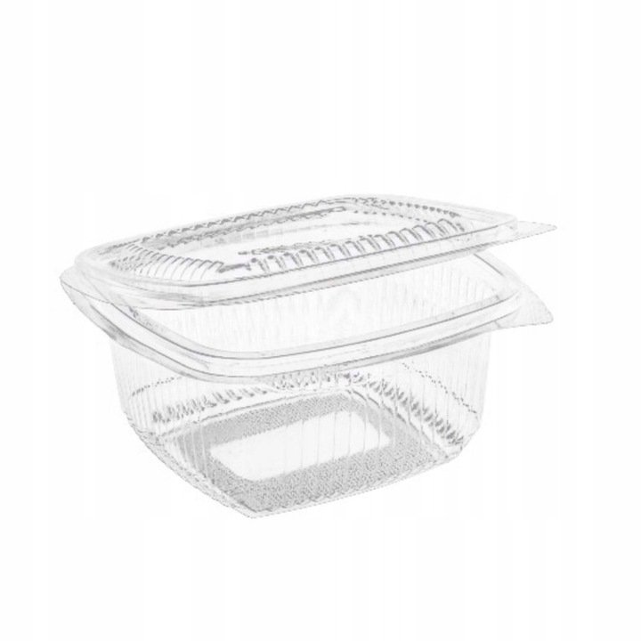 Pojemniki sałatkowe z pokrywką PET 500ml 100szt. /Papstar