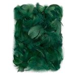 Piórka 5-12cm 10g [CEPI-024] Ciemny Zielony / DpCraft