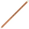 Pitt Kredka Pitt Pastel 101 Faber-Castell