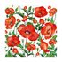 Flanders Poppy