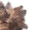 Piórka Przepiórcze 5-12cm 5g / DpCraft