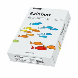 Papier Xero Rainbow A4 160G Jasno Szary R 93