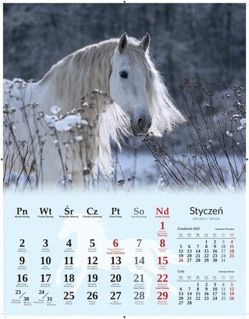 Kalendarz 7-Planszowy Konie 34x44 2023  /Artsezon