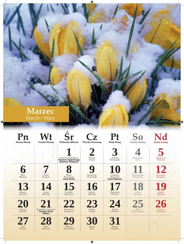 Kalendarz B4 Kwiaty 31x23 Cm 2023  /Artsezon