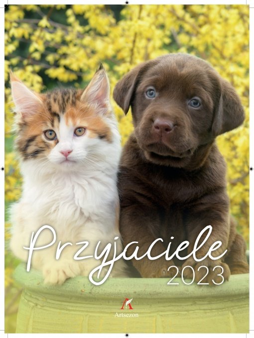 Kalendarz B4 Przyjaciele Kolor 2023  /Artsezon