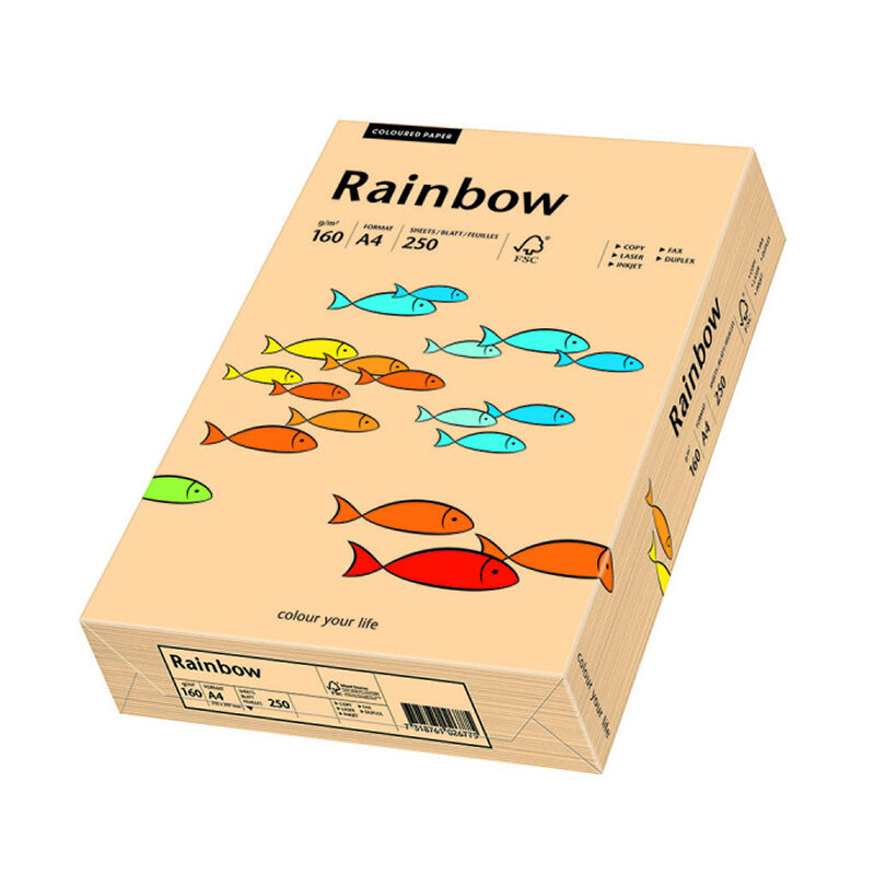 Papier Xero Rainbow A4 160G Łososiowy R40